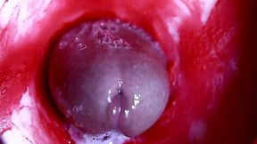 Steamy tight pussy&#x1F32E;&#xFE0F; and thick juicy cock&#x1F346;