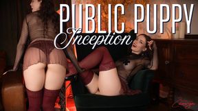 Public Puppy Inception