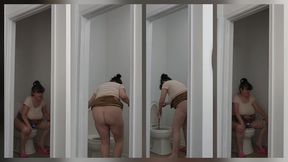 EMERGENCY PEE AND CHOCOLATE FUDGE DUMPS THUS CLOGGING THE TOILET PLUS PLUNGING IT