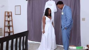 Big Brown Tirries - Lily Starfire