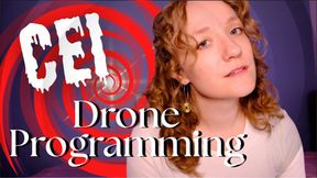 CEI Drone Programming