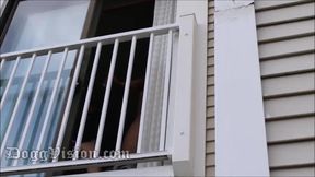 Jessica Popzickle gives BBC head in hotel window