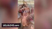 Lelu Love gives perfect TEN cock rate, shower dancing, topless twerking, nails closeups