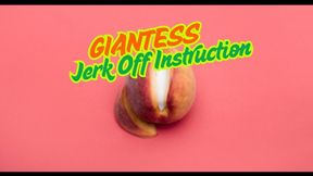 Giantess JOI - Tiny Gets Jerk Off Instruction