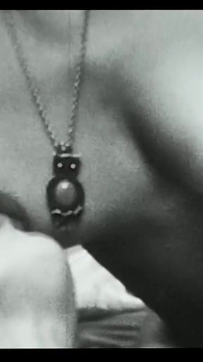 Vintage porn retro erotic theatre - The visitor