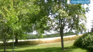 Chętne gejowskie tyłki ostro ruchane w dupę bez gumki i pokryte spermą