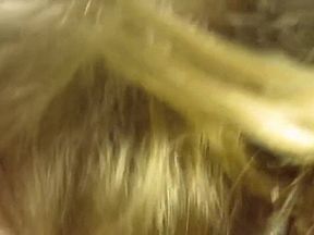 Blowjob and sperm in the mouth. Mature couple