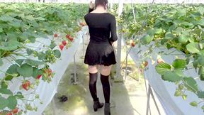 Feature-length Compilation Mayu No.44-46 Cosplay, Squirting, Deep Throat,, Convulsions, Exhibitionism, Semen Swallowing