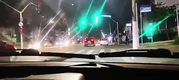 89-Year-Old Grandma and Naughty Grandson Get it On in the Car