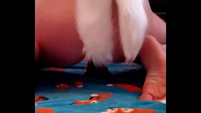 Emo Cat girl LadytheTramp bad dragon dildo and wand orgasm