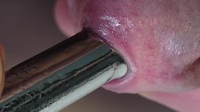 Pulling out extremely tight 14mm urethral teardrop plug close-up.