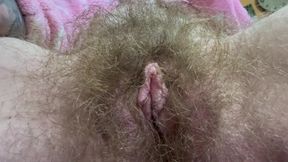 Cigar and hairy bush