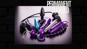 Permanent Cuckold Programming BETA - Erotic Audio Mind Fuck