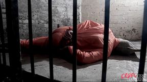 Her Prisoner Part 9 - Interrogation **MOV**