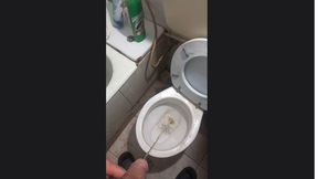 toilet pee