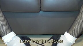 Orbit Tits For Thai Ladyboy