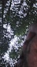 NAKED IN THE CABIN, BIG BALLS ARE LOOSE