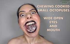 Chewing Cooked Small Octopuses - Wide Open Eyes and Mouth Video Request