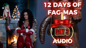 12 DAYS OF GAY-MAS AUDIO-DAY 3: Sissy Elf On The Shelf Begging For BBC Task