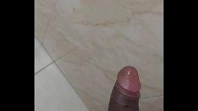 V&iacute_deo de verifica&ccedil_&atilde_o