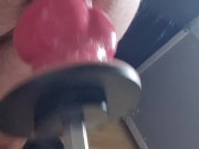 Dog knot machine fucked