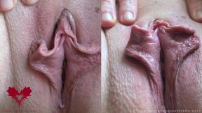 Pussy Presentation and Masturbation with the Satisfyer. Close up From 2 Perspectives.