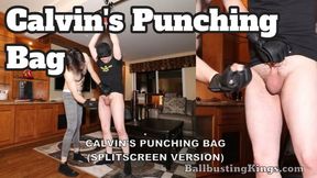 Calvin's Punching Bag (Splitscreen Version)