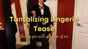 Tantalizing Lingerie Tease
