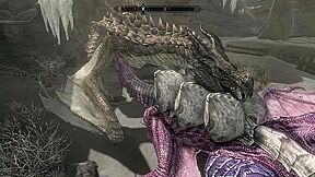 Dragoness And Her Mate