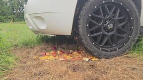 Chrissy running over veggies with new tires