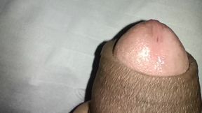 Uncut Cock - Precum - Foreskin - Close up - Big Cock