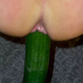 Fucking 24in cucumber