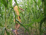 Voyeur a girl masturbating in Corn Field n CUM Creampie her