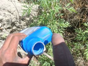 Solo boy masterbating