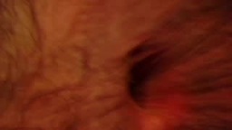 Danny S Private Show