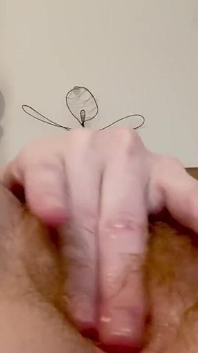 Close up Pussy Play