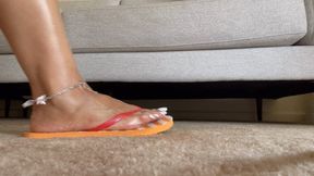 Flip Flop SPH