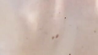 Bi-Curious plowed session with a horny sexy and 2 studs