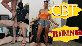 CBT training