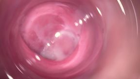 Camera deep inside Mia's tiny creamy vagina