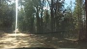 TRIP TO THA CREEPIEST CEMETERY IN AMERICA!!;