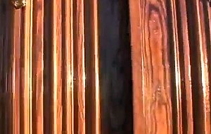 cytherea &  jamie  elle -  planting  seeds 2 -  scene 2