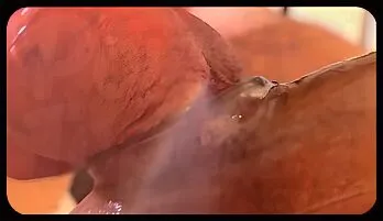 Hot MILF with Big Tits Gets Pounded in Ass with Condom, Followed by Intense Tit Licking