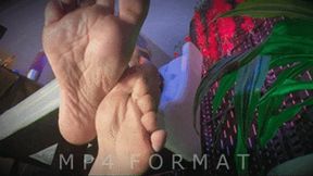 Young Soft Soles and Heels (HD) MP4
