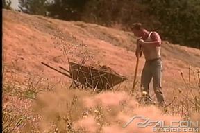 Summer Fever