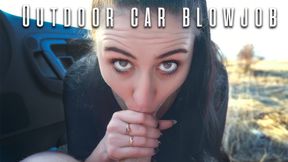 Outdoor Blowjob and Swallow on Sunset