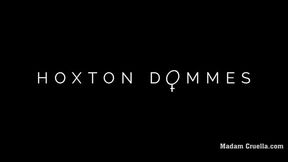 Hoxton ball busting