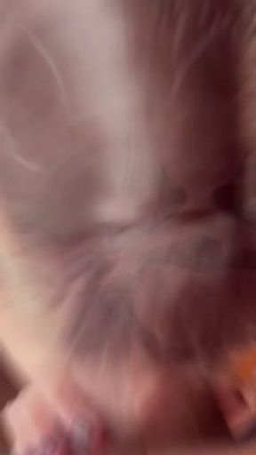 Suck my cock you sclerotic wife!