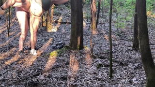 BBW got him to sneak into the woods for a quick fuck