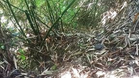 Work in the Forest Saves More Tips